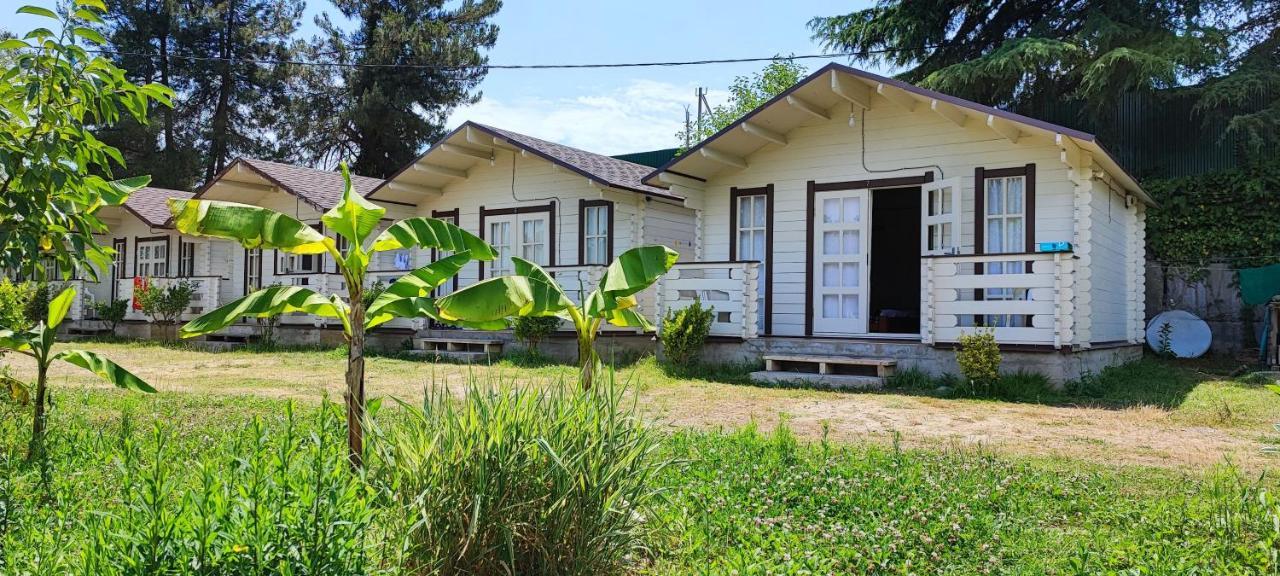 Lukomorye Pizunda Exterior photo